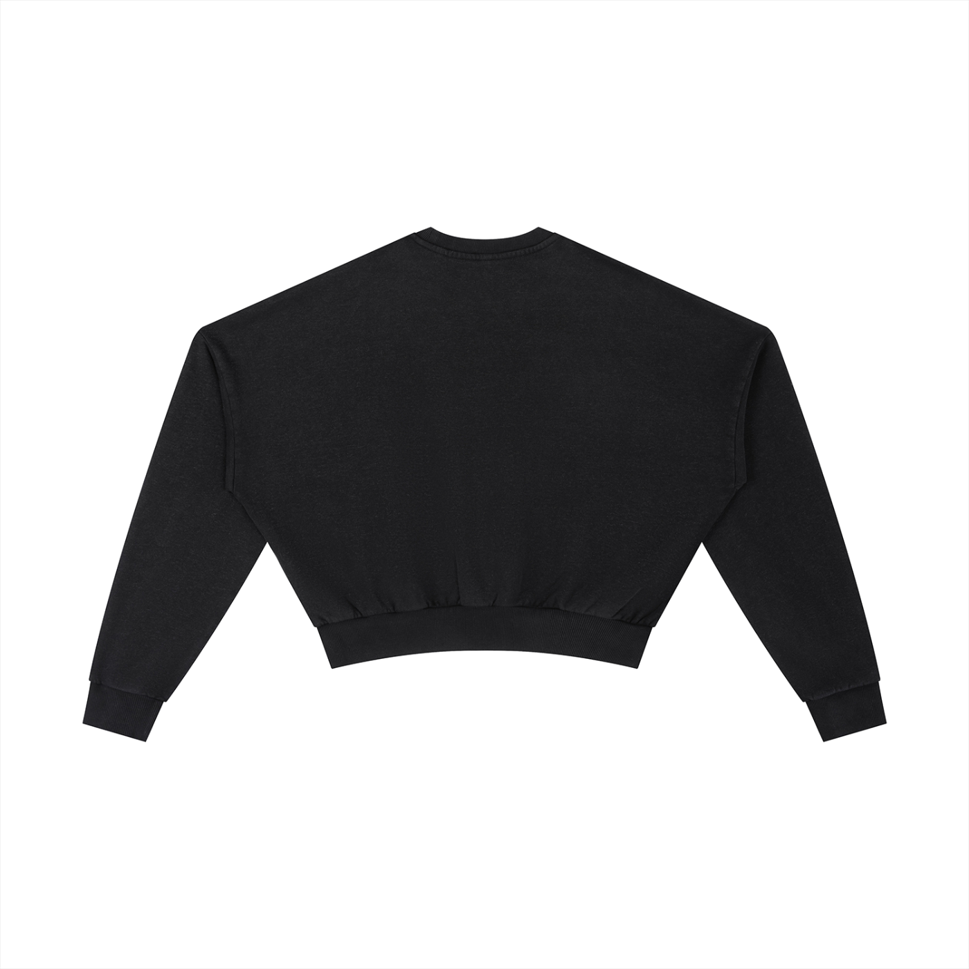 Vintage Washed Cropped Sweatshirt Elev8 Crown